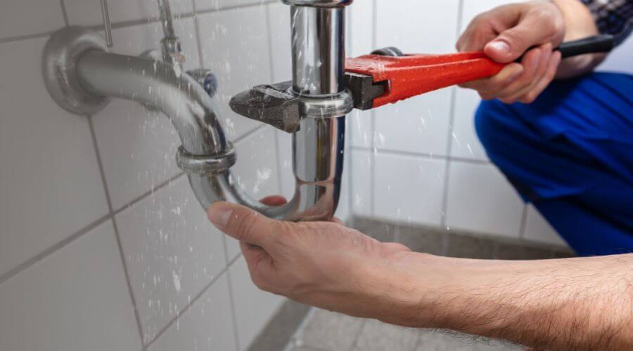 Professional Leak Detection services in Woodland, AL